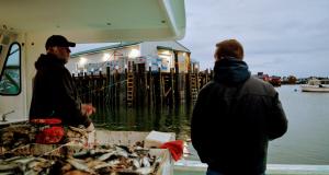 Congressman Golden on a lobster boat