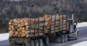 logging truck on road