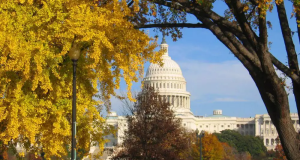 Capitol in the fall