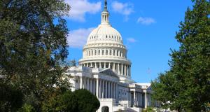 Tree-lined side of the Capitol building