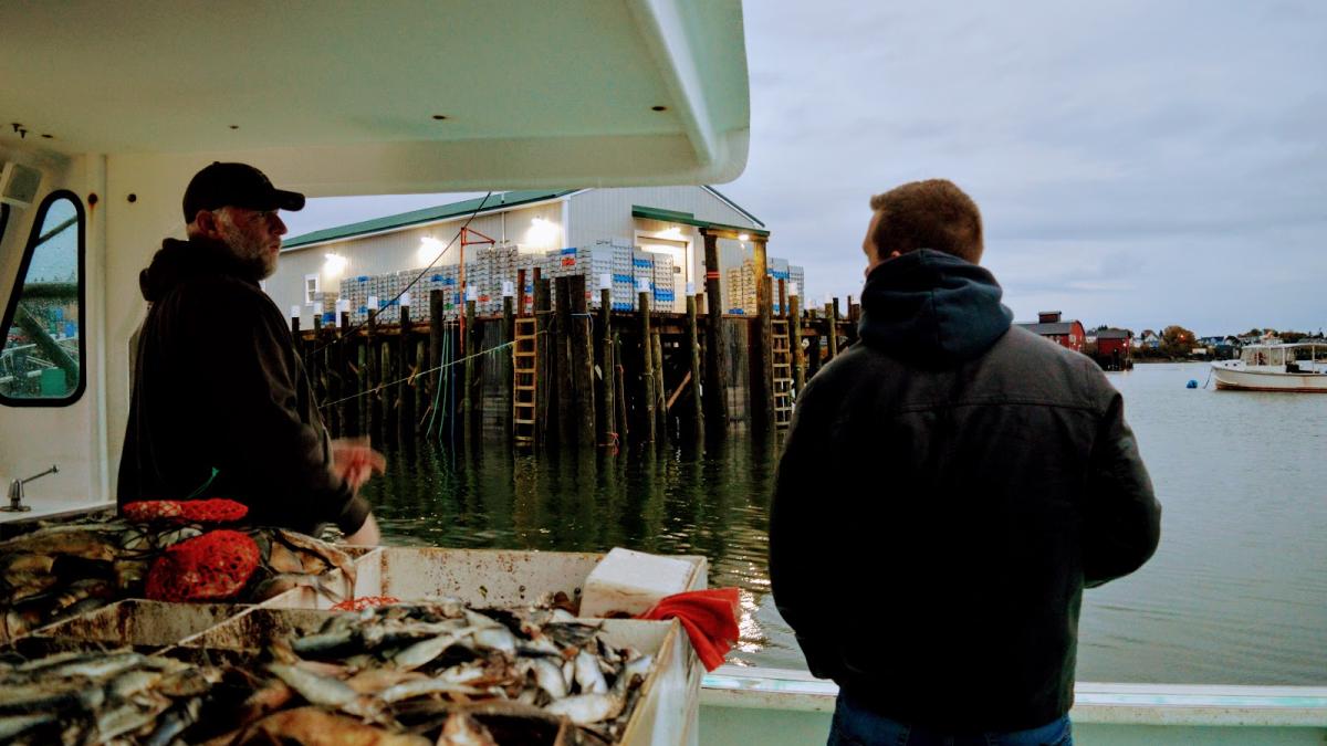 Congressman Golden on a lobster boat