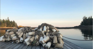 A mass of buoys.