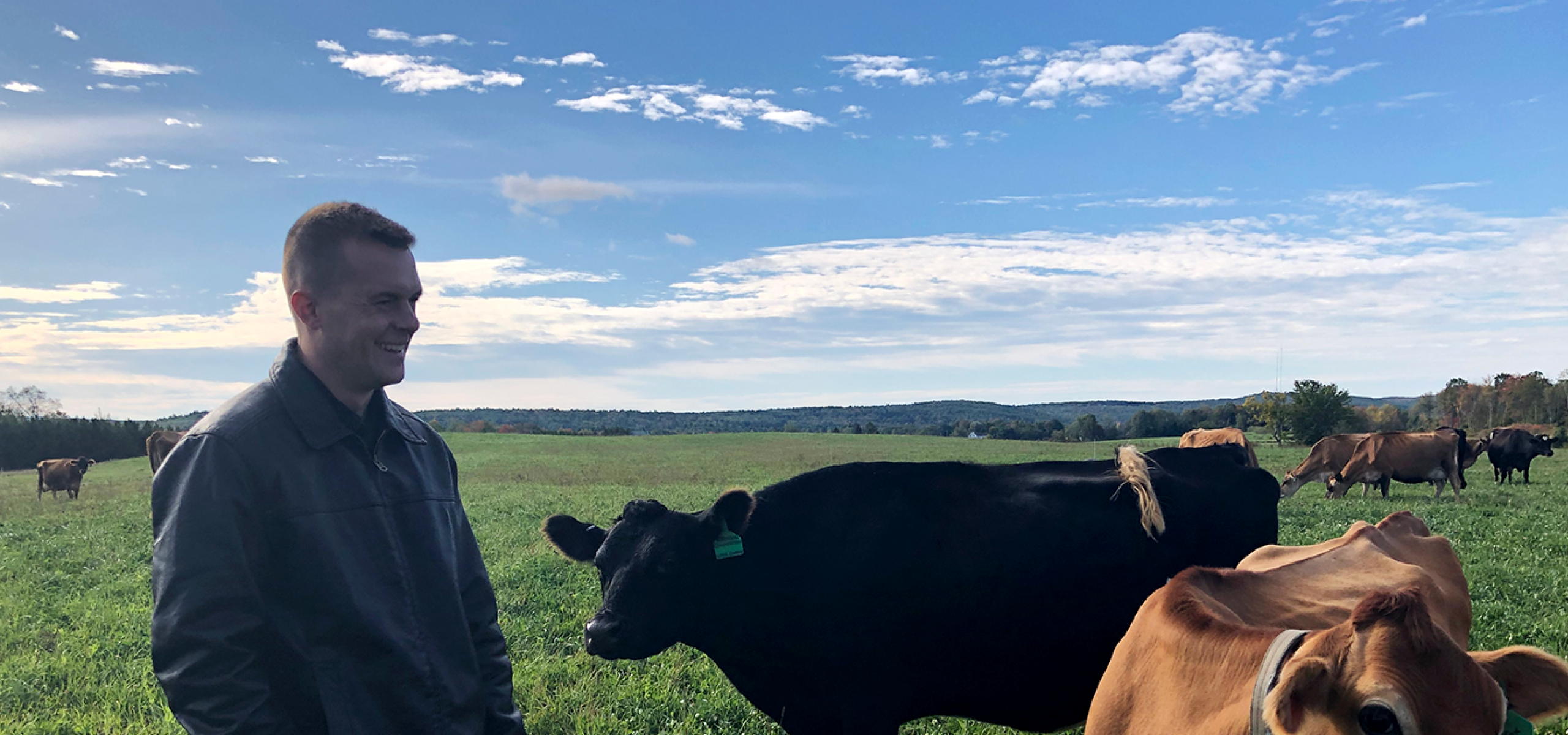 Congressman Jared Golden with cows.